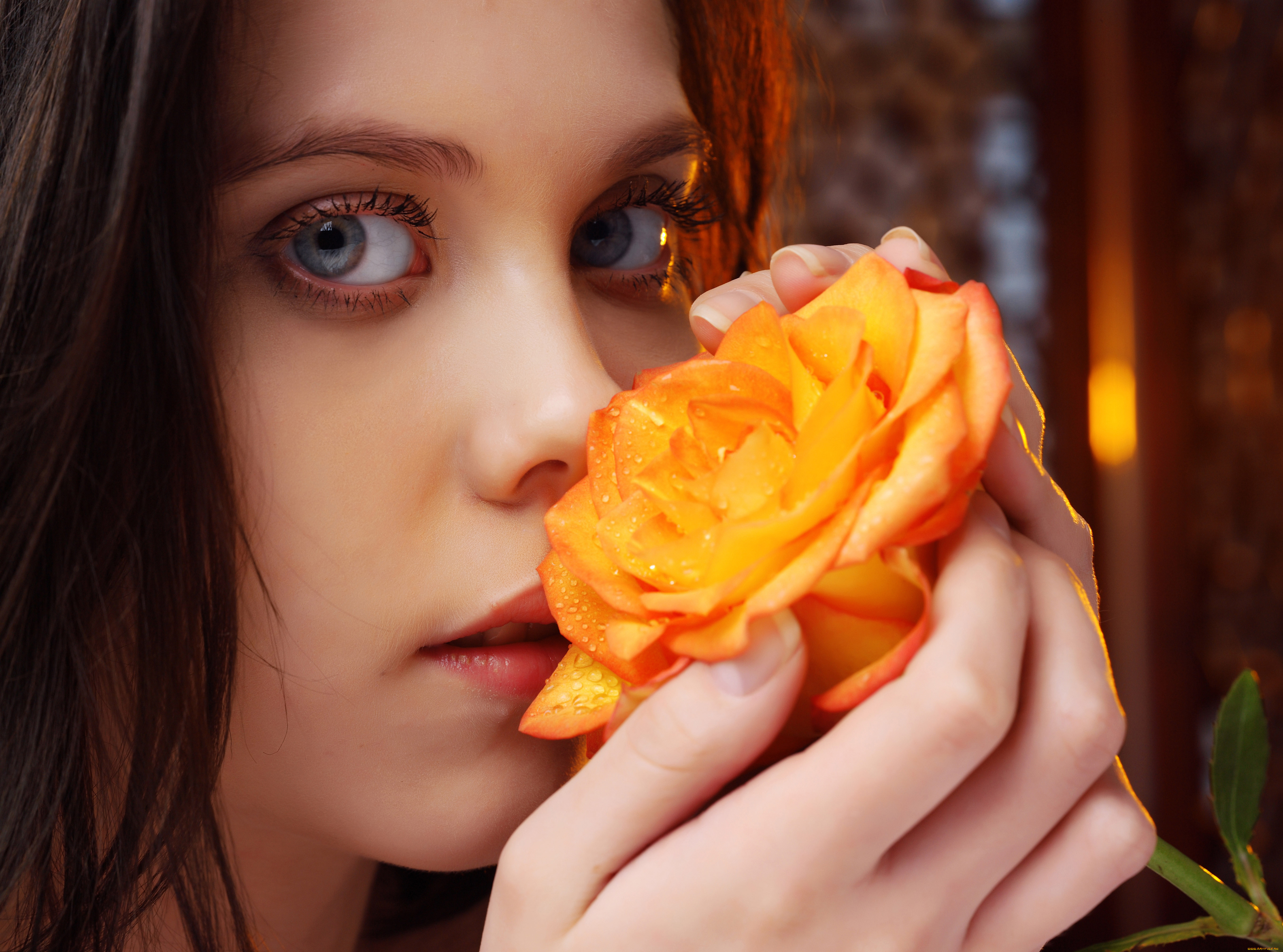 -Unsort  , daphne, , unsort, , , 